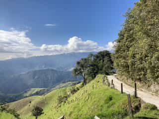 Bergfietsroute langs groene hellingen en bosrand in Colombiaanse Andes, ideaal voor fietsavonturen in Colombia met Veloglobe.